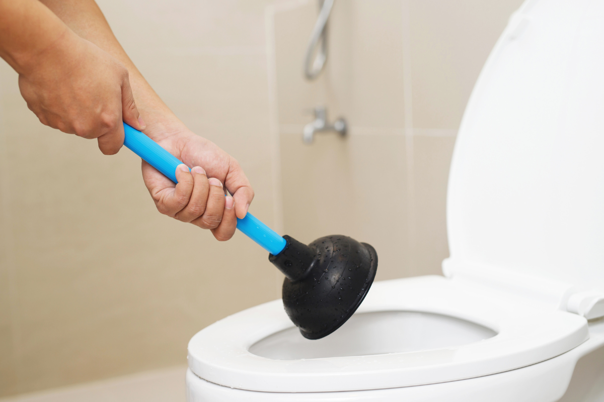 How To Plunge A Toilet Complete Guide